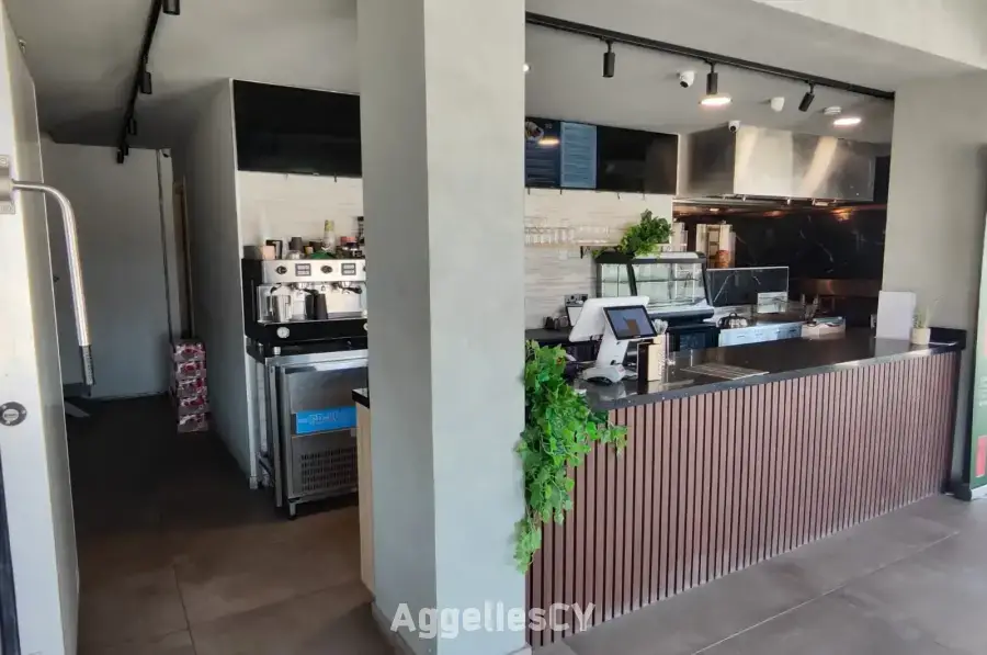 Fully equipped gyro shop in Kiti