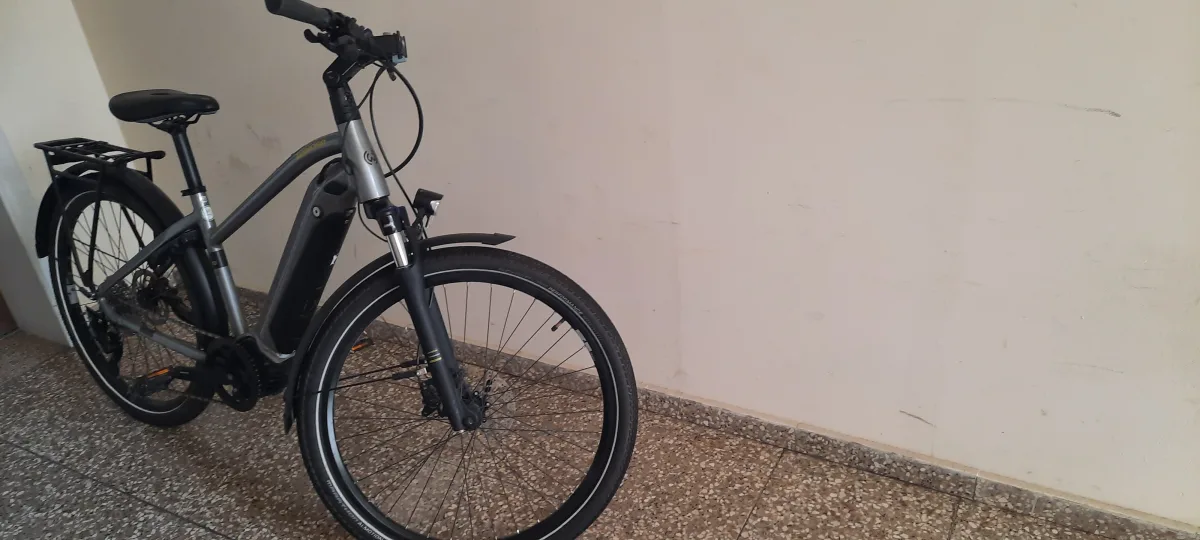 Pedelec E-Bike